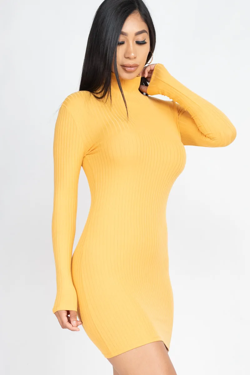 Ribbed Mock Neck Bodycon Mini Dress (CAPELLA)