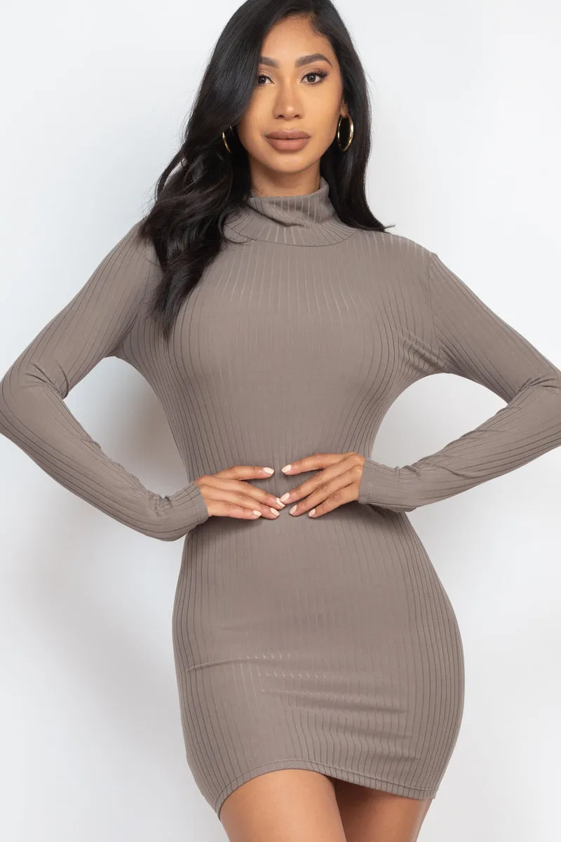 Ribbed Mock Neck Bodycon Mini Dress (CAPELLA)