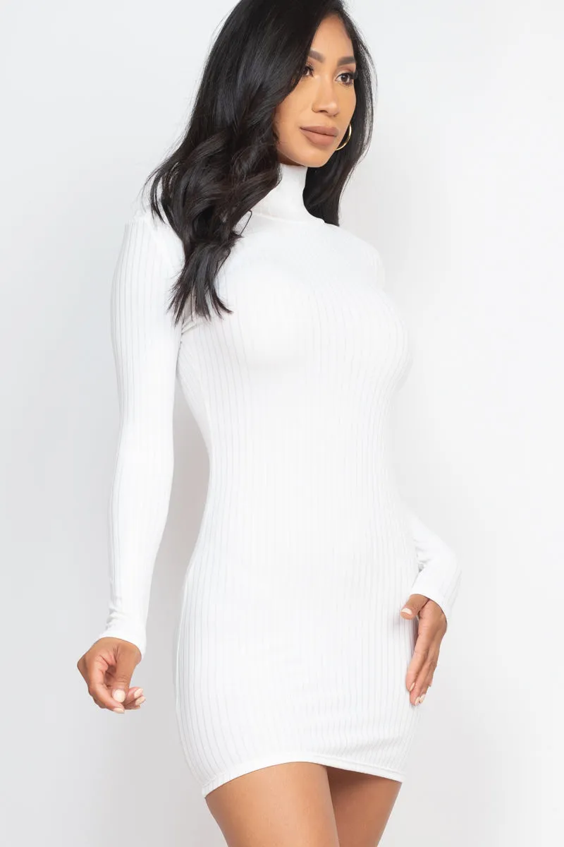 Ribbed Mock Neck Bodycon Mini Dress (CAPELLA)