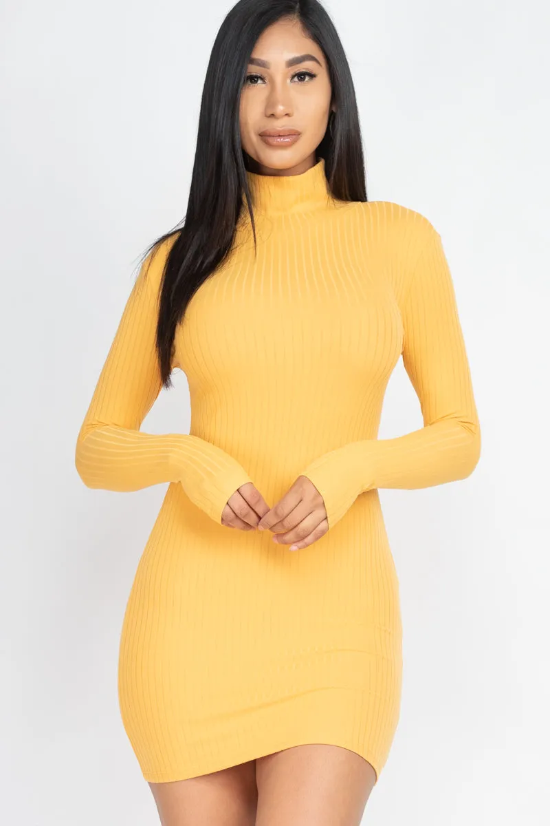 Ribbed Mock Neck Bodycon Mini Dress (CAPELLA)