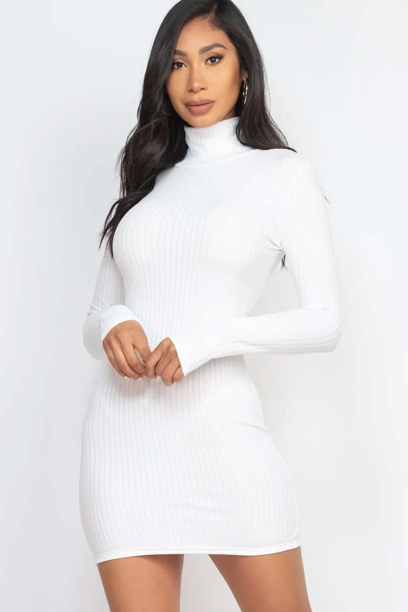 Ribbed Mock Neck Bodycon Mini Dress (CAPELLA)