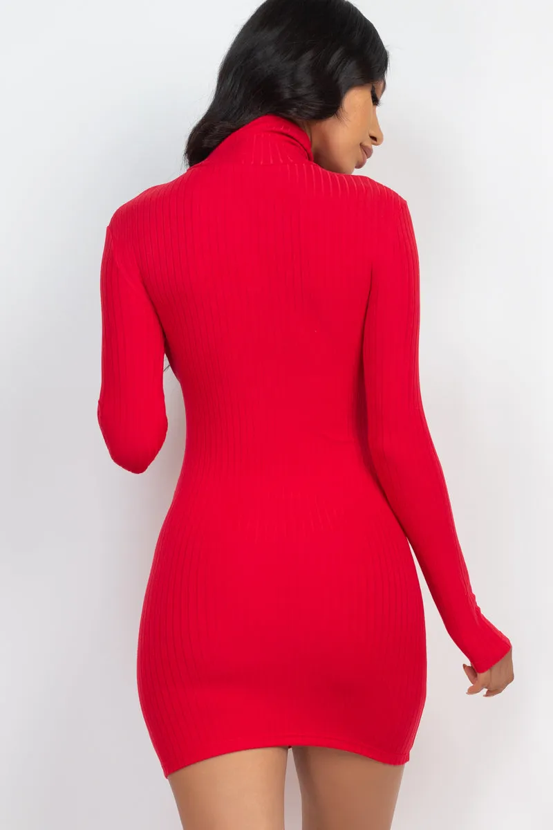 Ribbed Mock Neck Bodycon Mini Dress (CAPELLA)