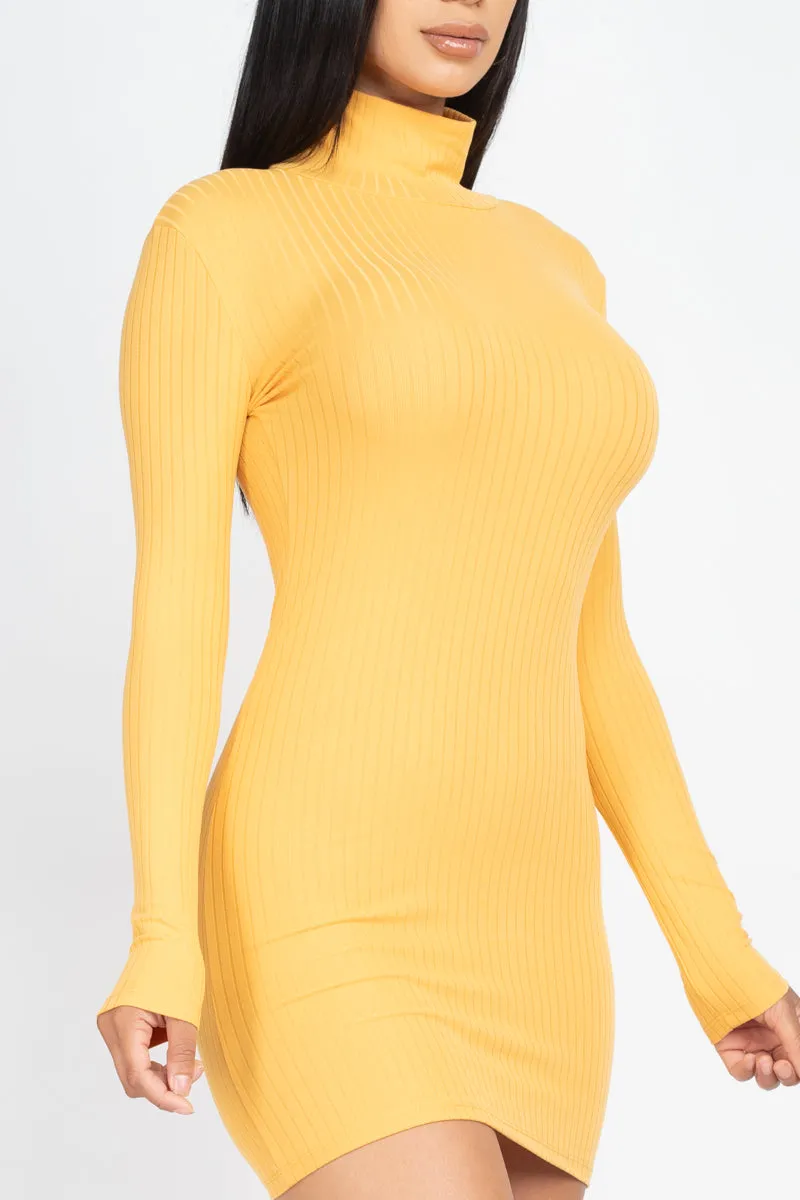 Ribbed Mock Neck Bodycon Mini Dress (CAPELLA)