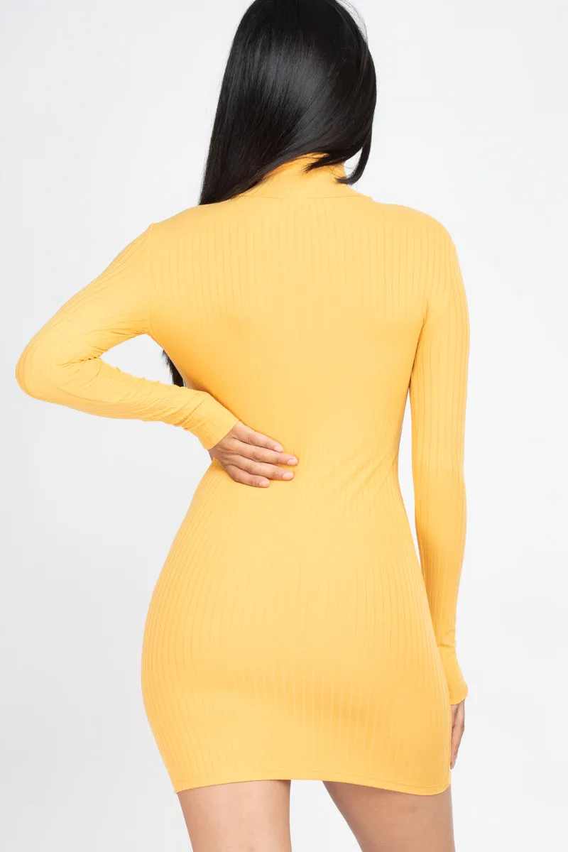 Ribbed Mock Neck Bodycon Mini Dress (CAPELLA)