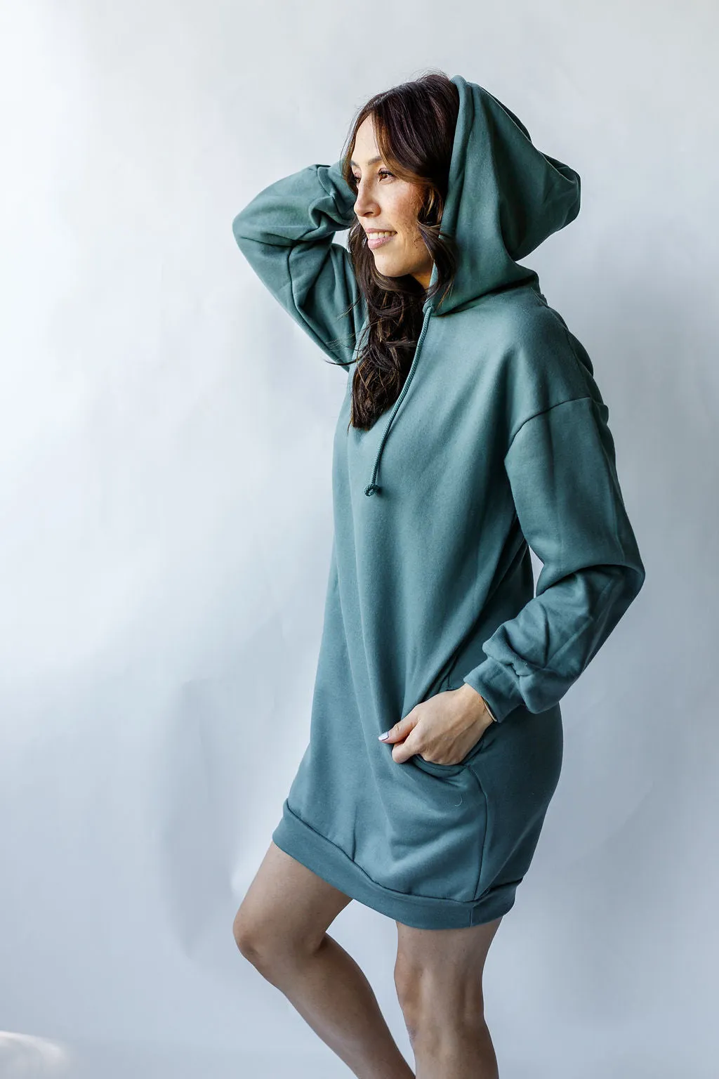 The Everyday Basics Hooded Sweatshirt Dress